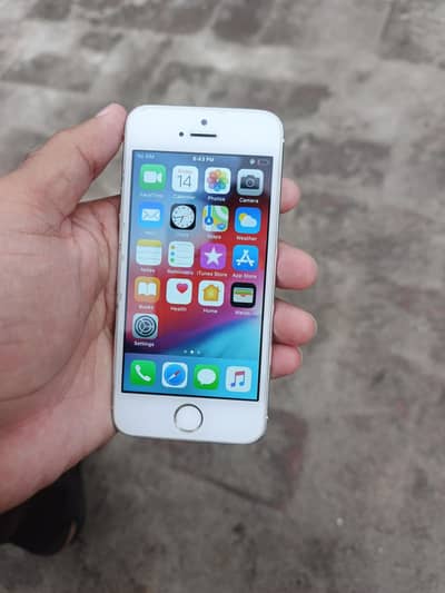 Apple iPhone 5s