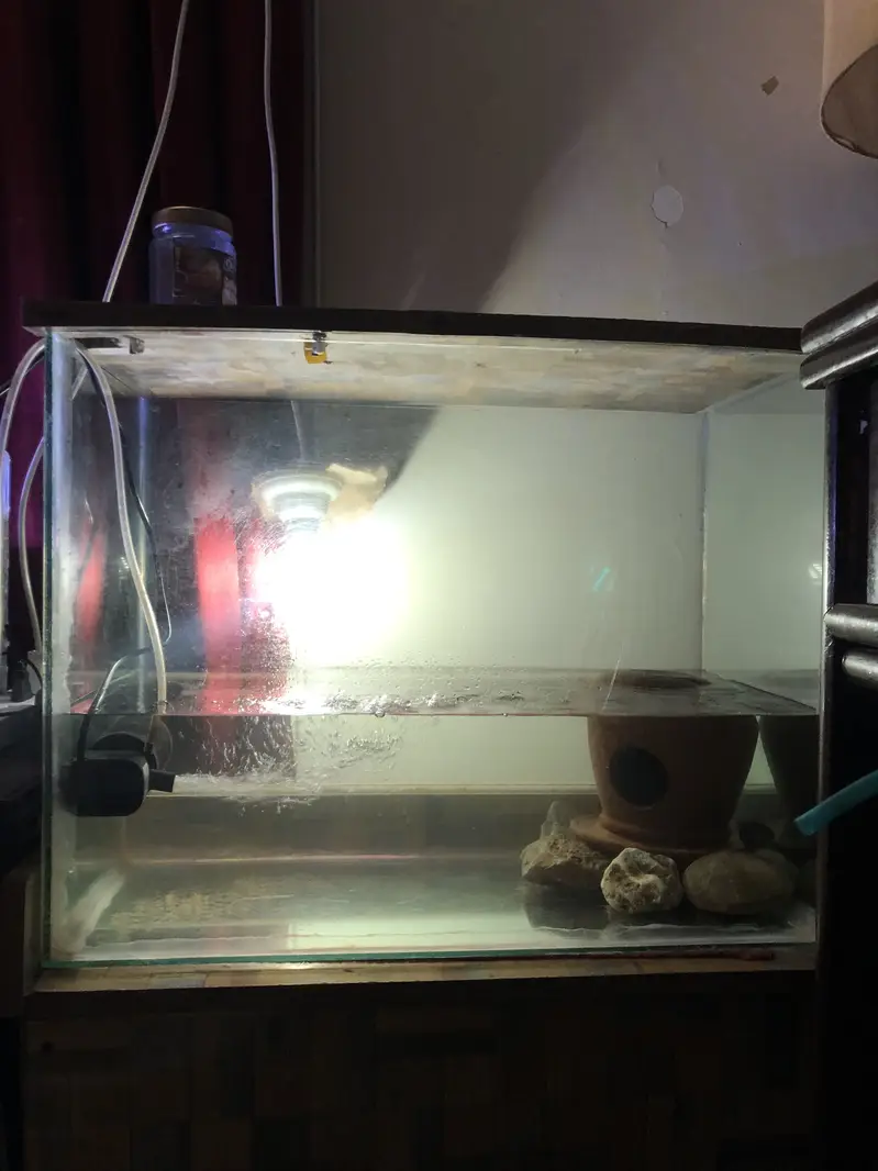 Aquarium and filters for sale — photo 3