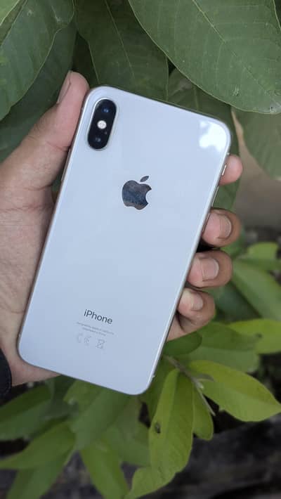 Apple iPhone X