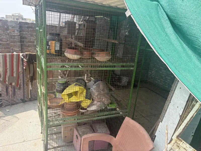Heavy Duty BIRDS CAGE FOR SALE — photo 4