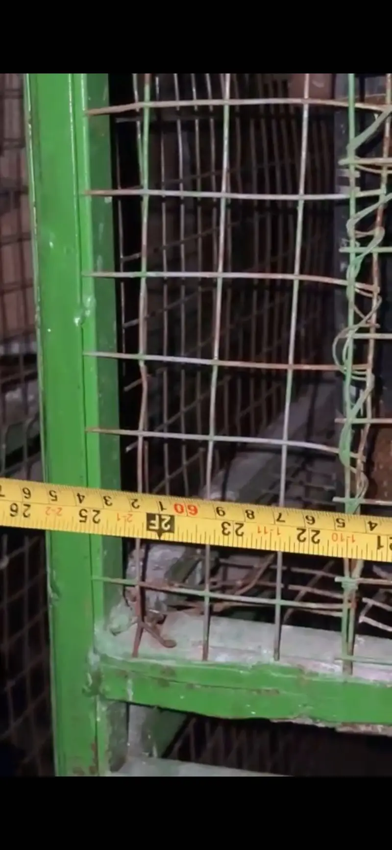 Heavy Duty BIRDS CAGE FOR SALE — photo 6