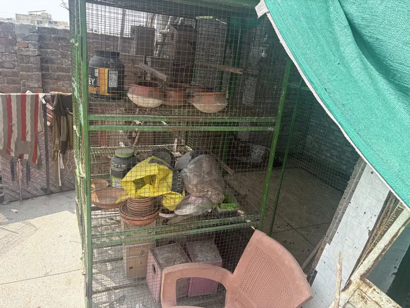 Heavy Duty BIRDS CAGE FOR SALE — photo 8
