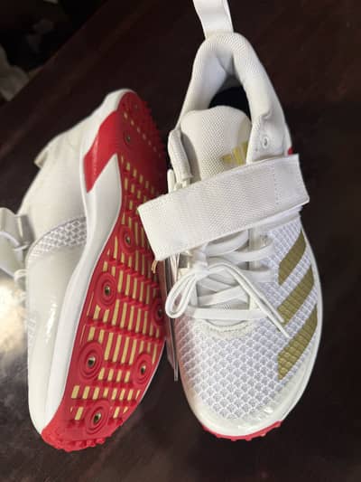 Adidas Cricket Spikes UK 8
