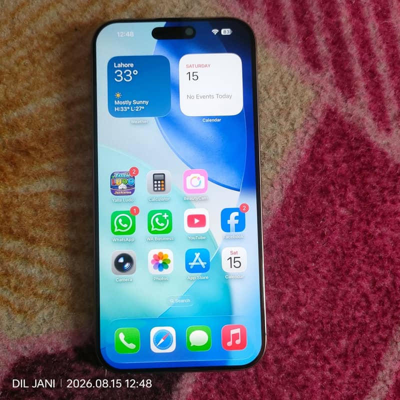 Apple iPhone 16 Pro Max 6