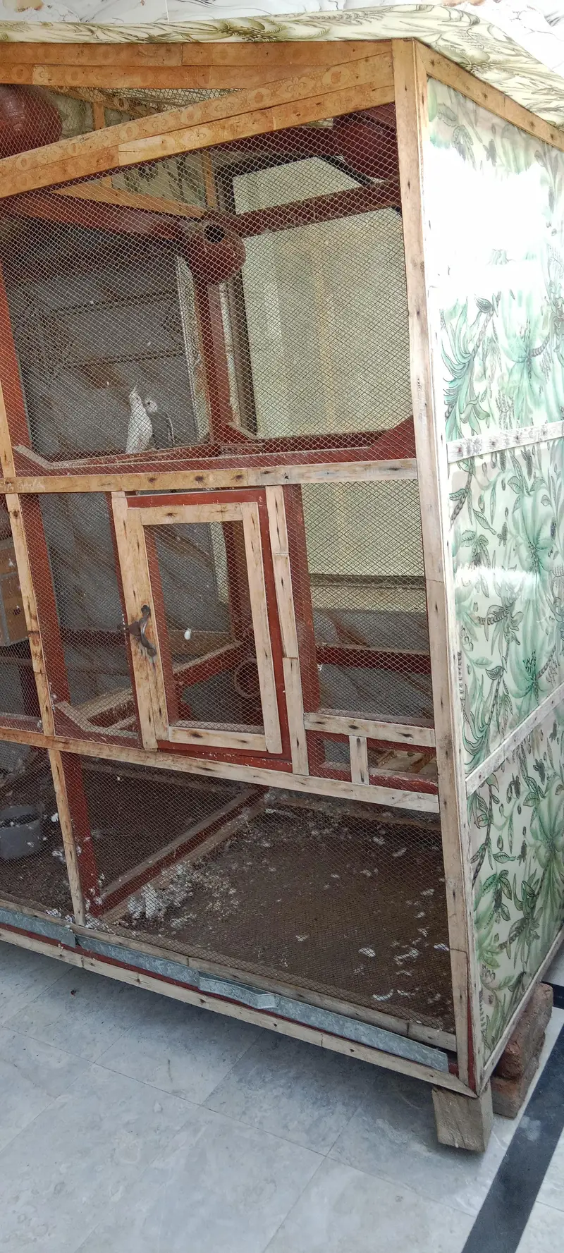 Large wooden bird cage for breeding /Cocktails and Love birds — photo 3