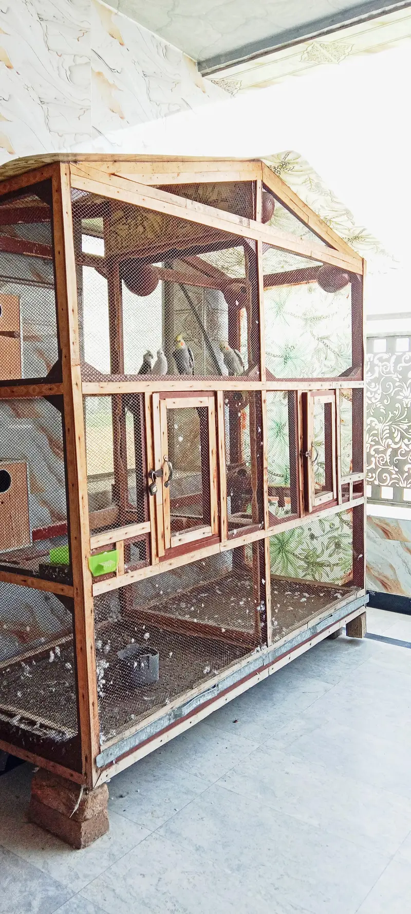 Large wooden bird cage for breeding /Cocktails and Love birds — photo 4