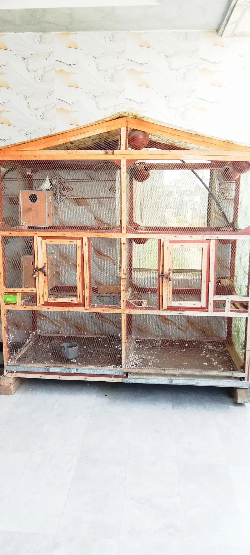 Large wooden bird cage for breeding /Cocktails and Love birds — photo 6