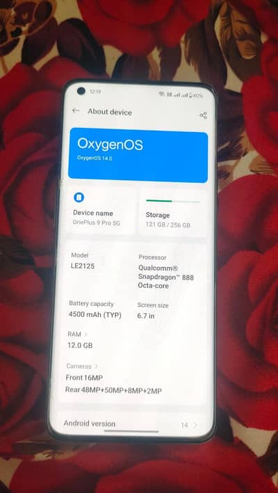 One Plus 9 Pro