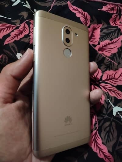 Honor x6