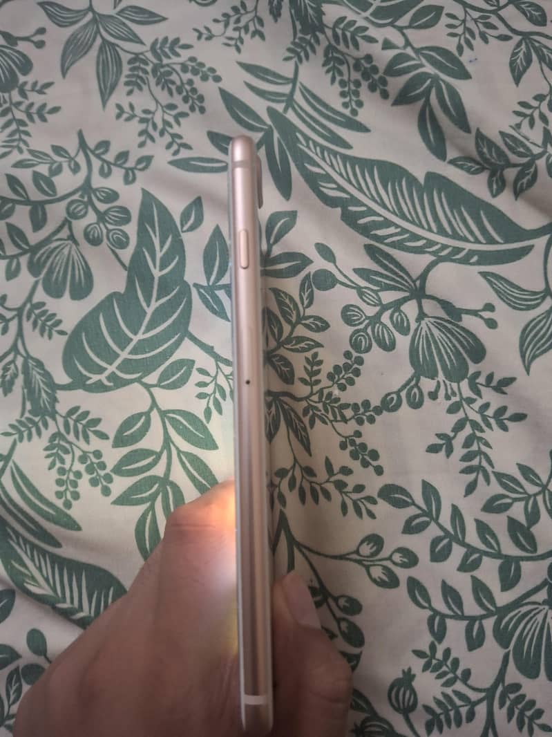 Apple iPhone 8 Plus 3