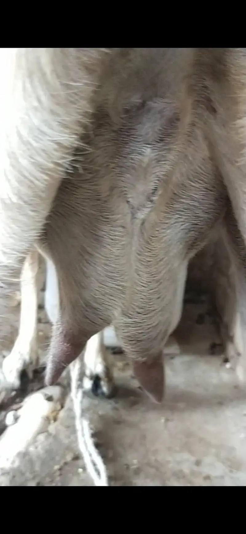 tadi bakri gaban tayar  03098289032 — photo 2