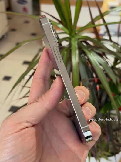 Apple iPhone 13 Pro Max