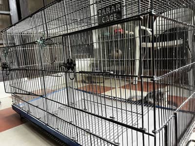Cage for Pets