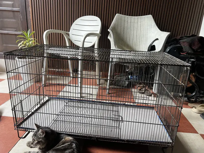 Cage for Pets — photo 2