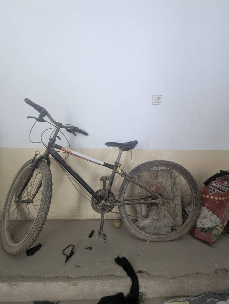 Cycle 3