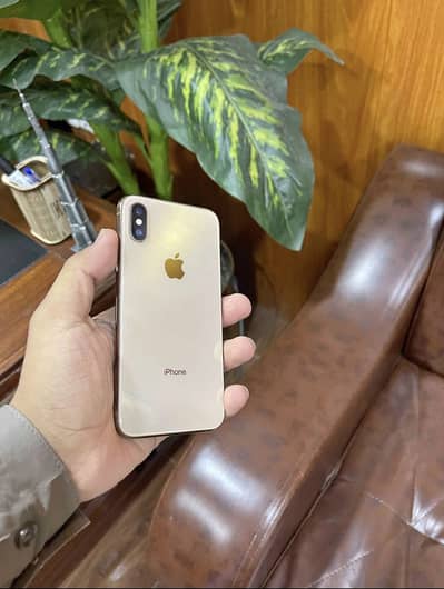 Apple iPhone XS