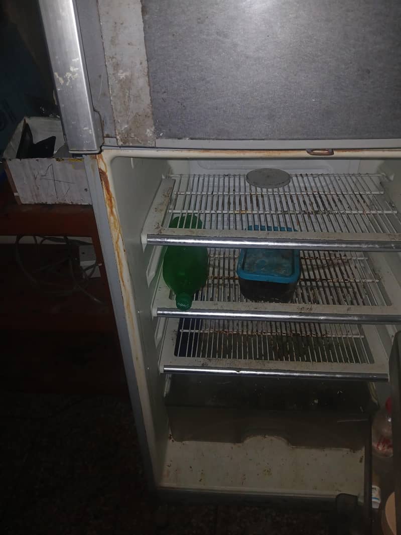 Fridge 6