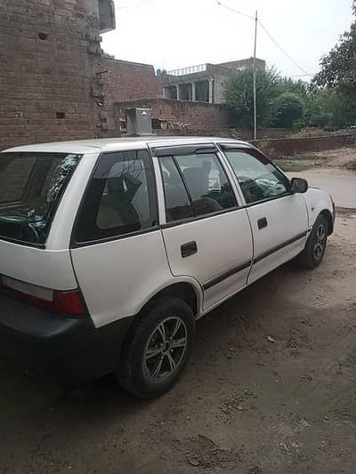 Suzuki cultus
