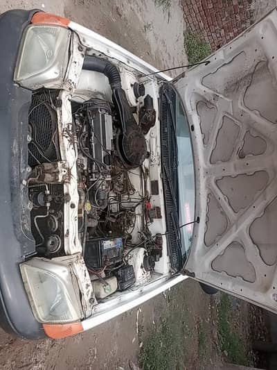 Suzuki cultus
