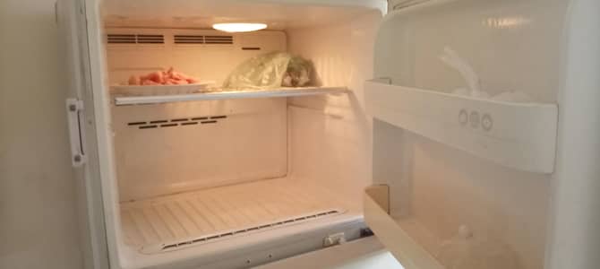 Full Size LG Fridge