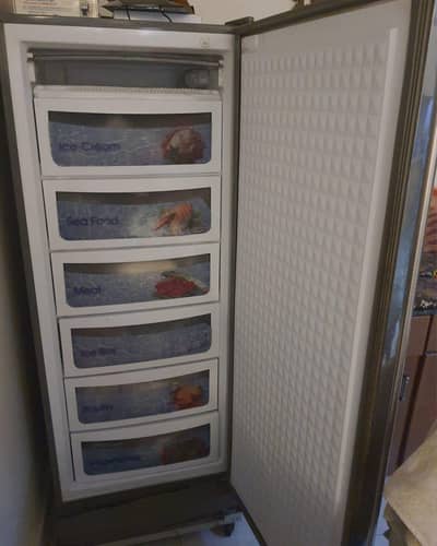 Vertical Dawlance Freezer