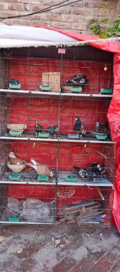 8 portion fixed iron cage