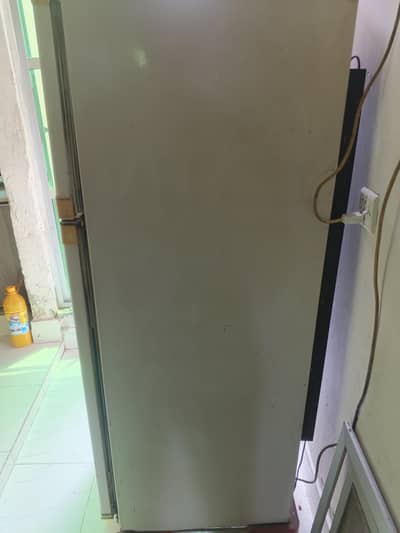 waves fridge