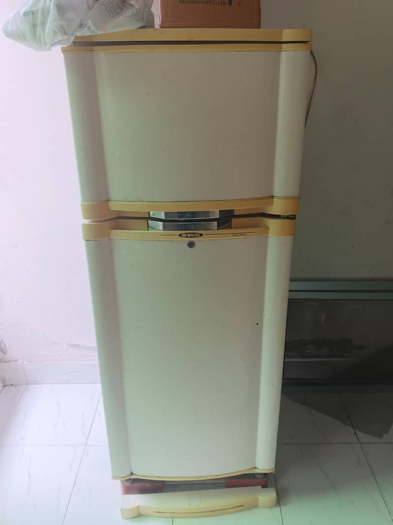 waves fridge 1