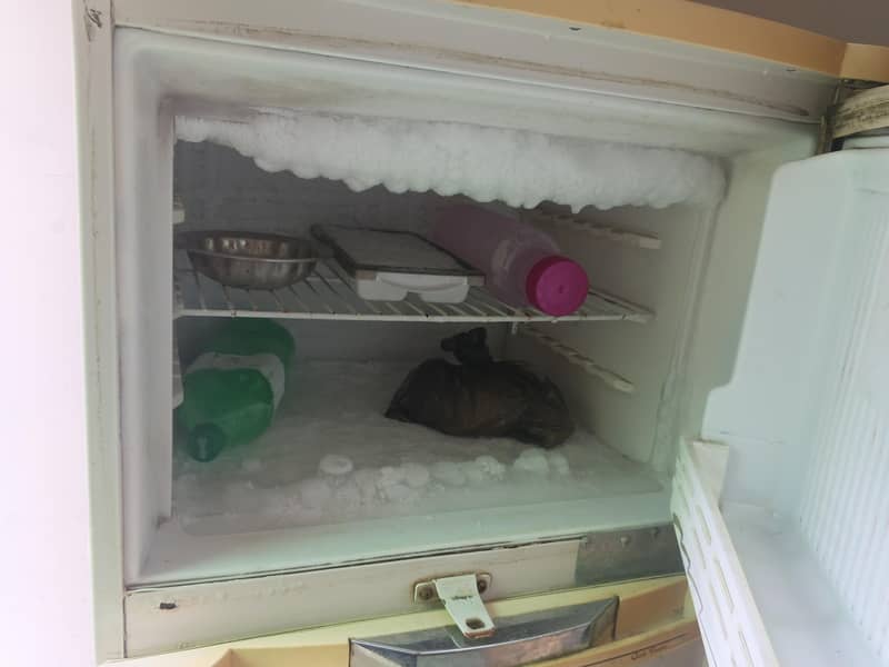 waves fridge 2