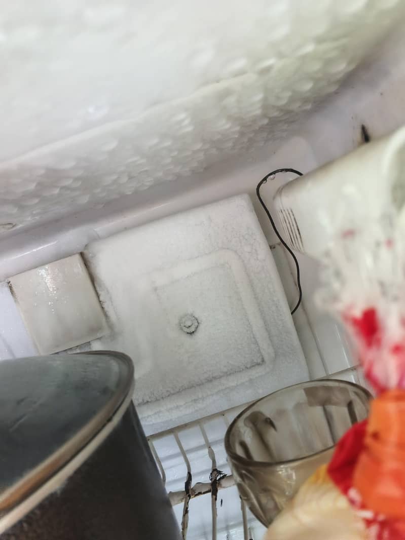 waves fridge 3