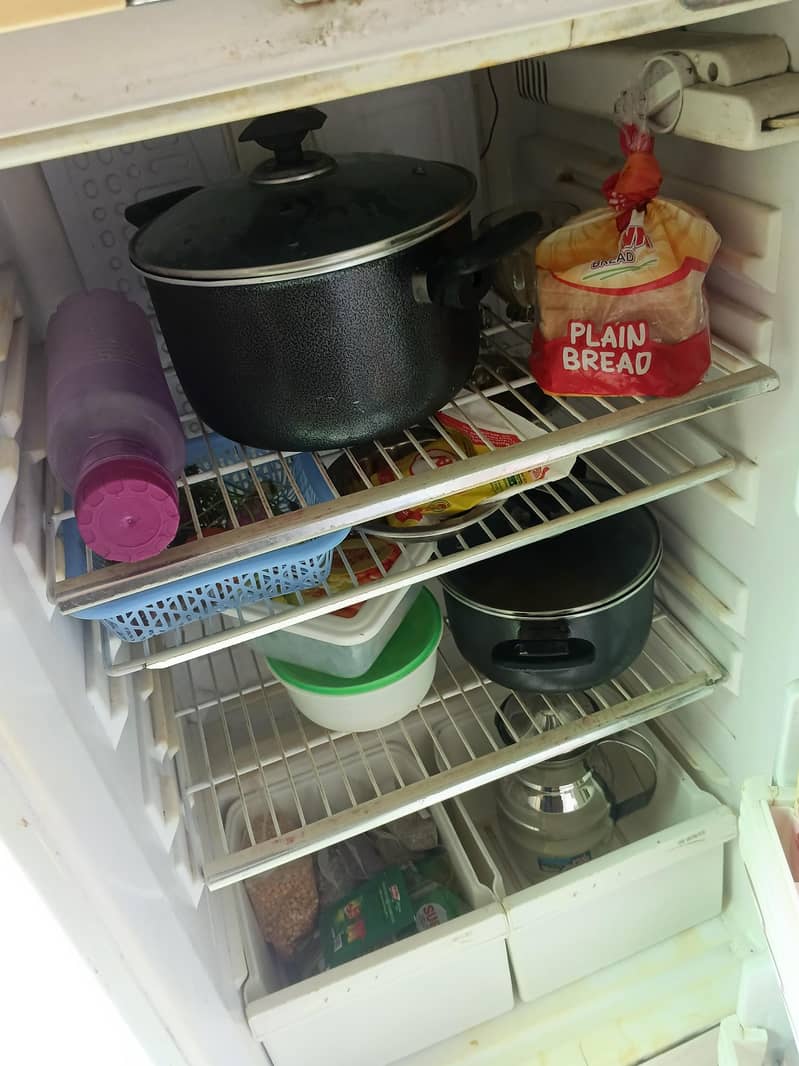 waves fridge 4