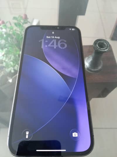 Apple iPhone 12 Pro Max