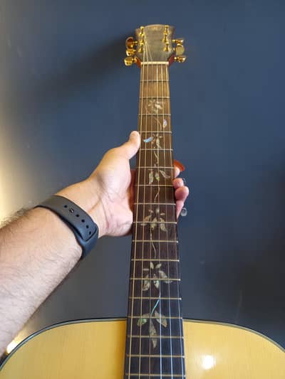 Guitar acoustic Proffessional guitar for learners.