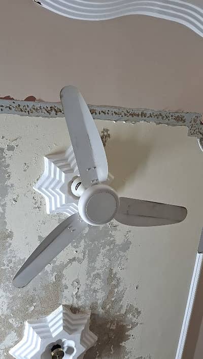 parwaz Fan for sale