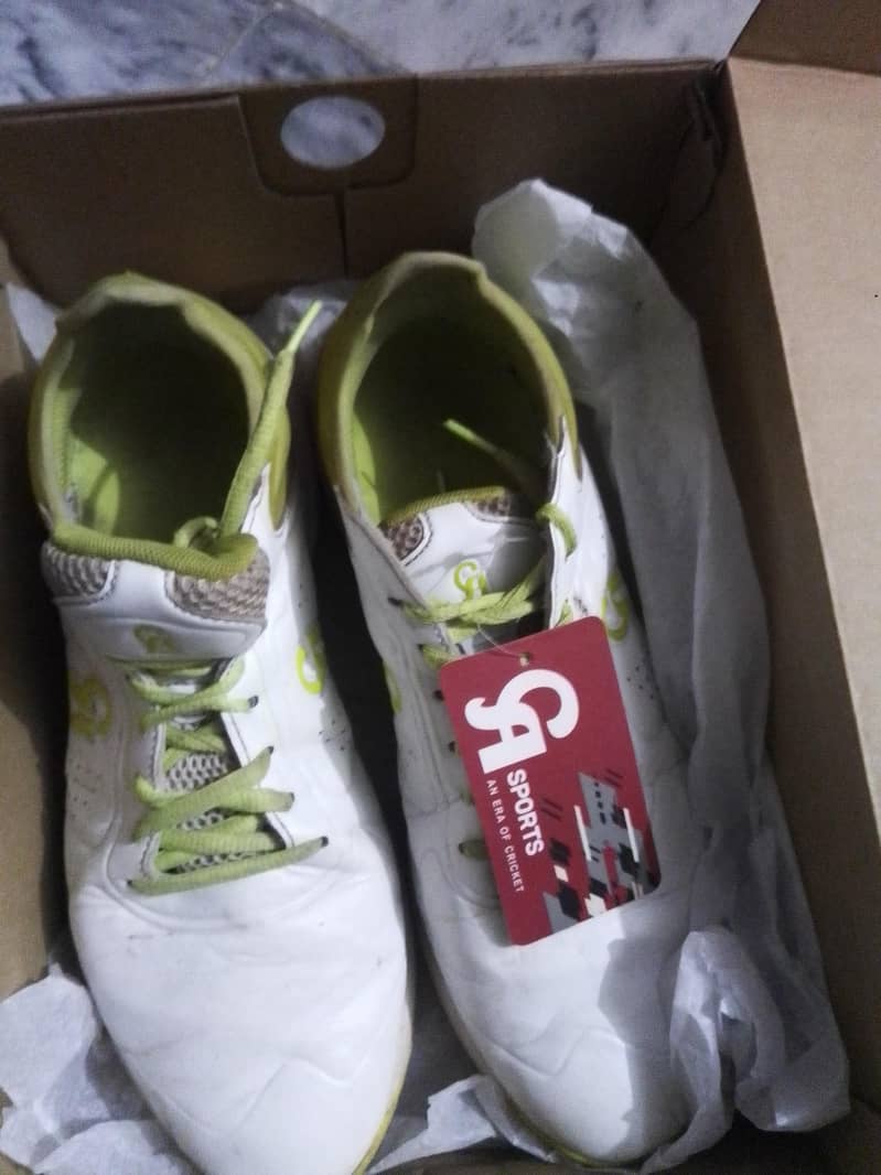 Ca  original shoes 0