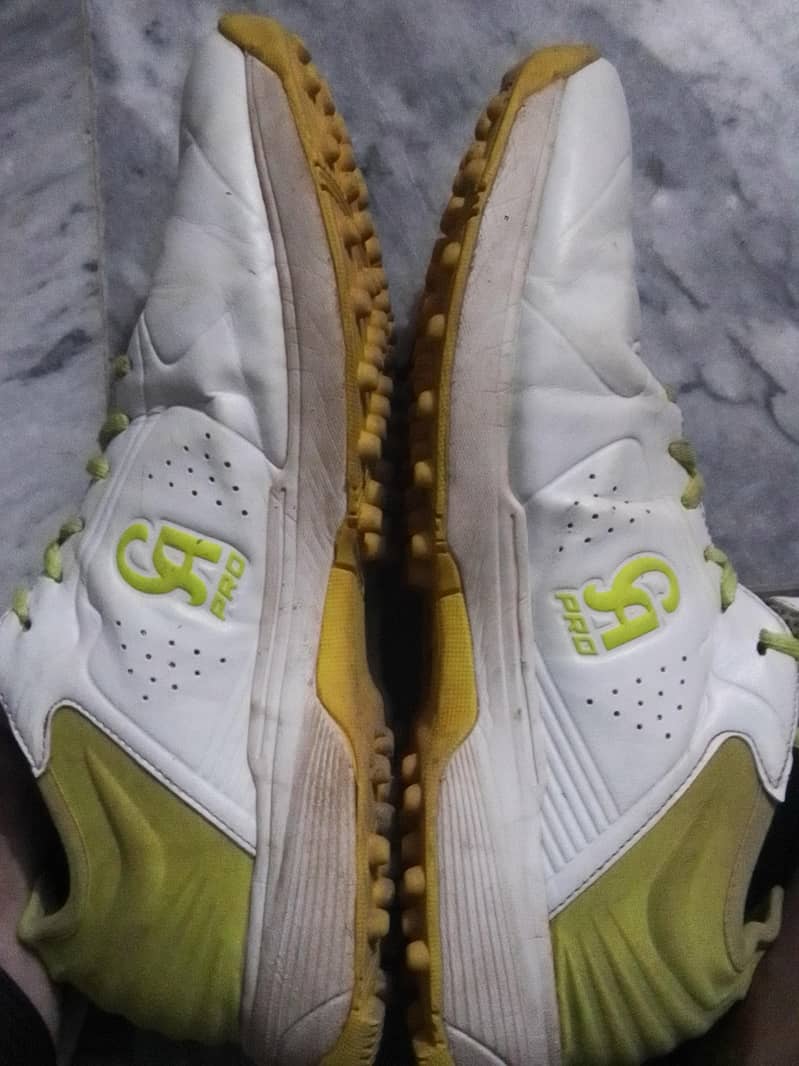 Ca  original shoes 2