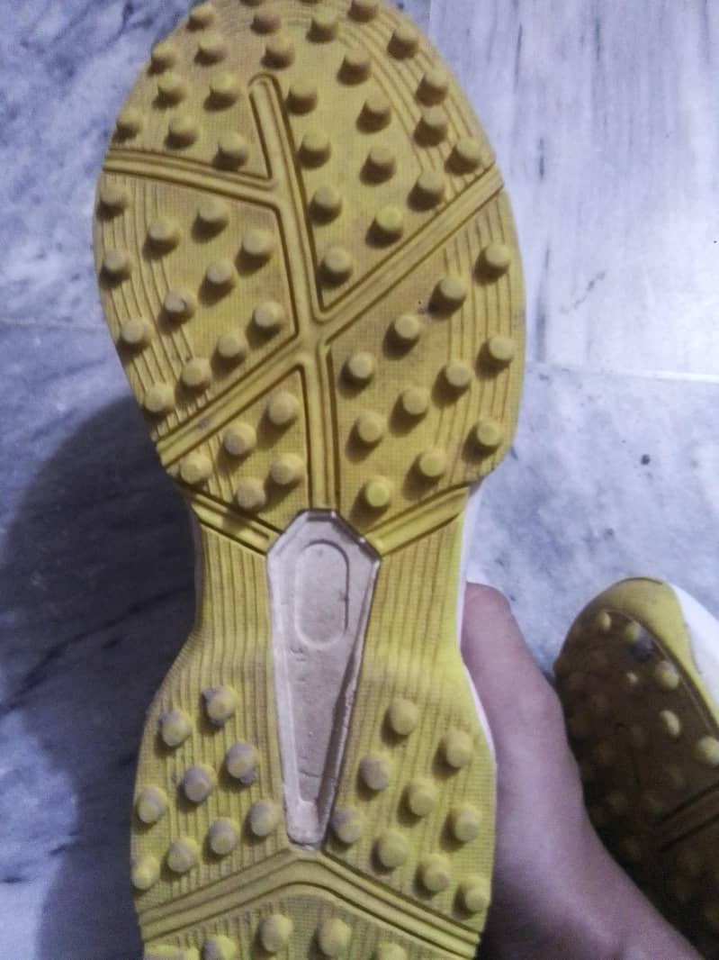 Ca  original shoes 3