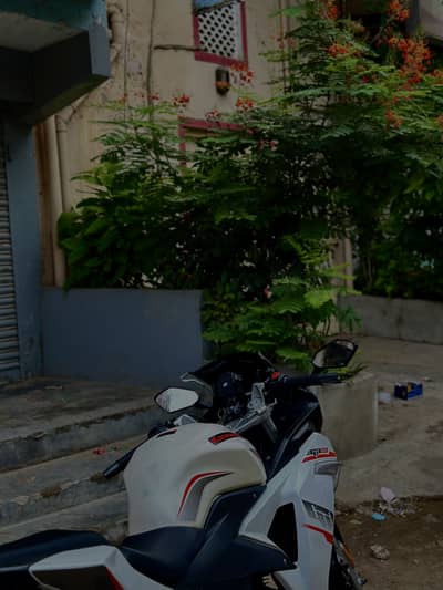 Sultan 250