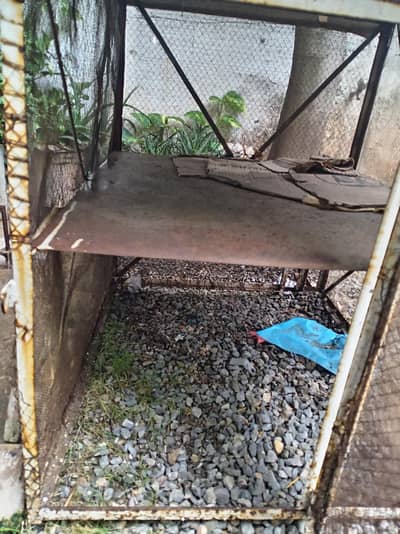 Double story iron bird cage in a good condition