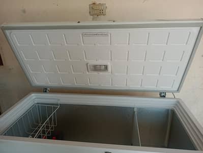 Pell arctic inverter deep freezer