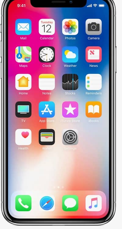 Apple iPhone X