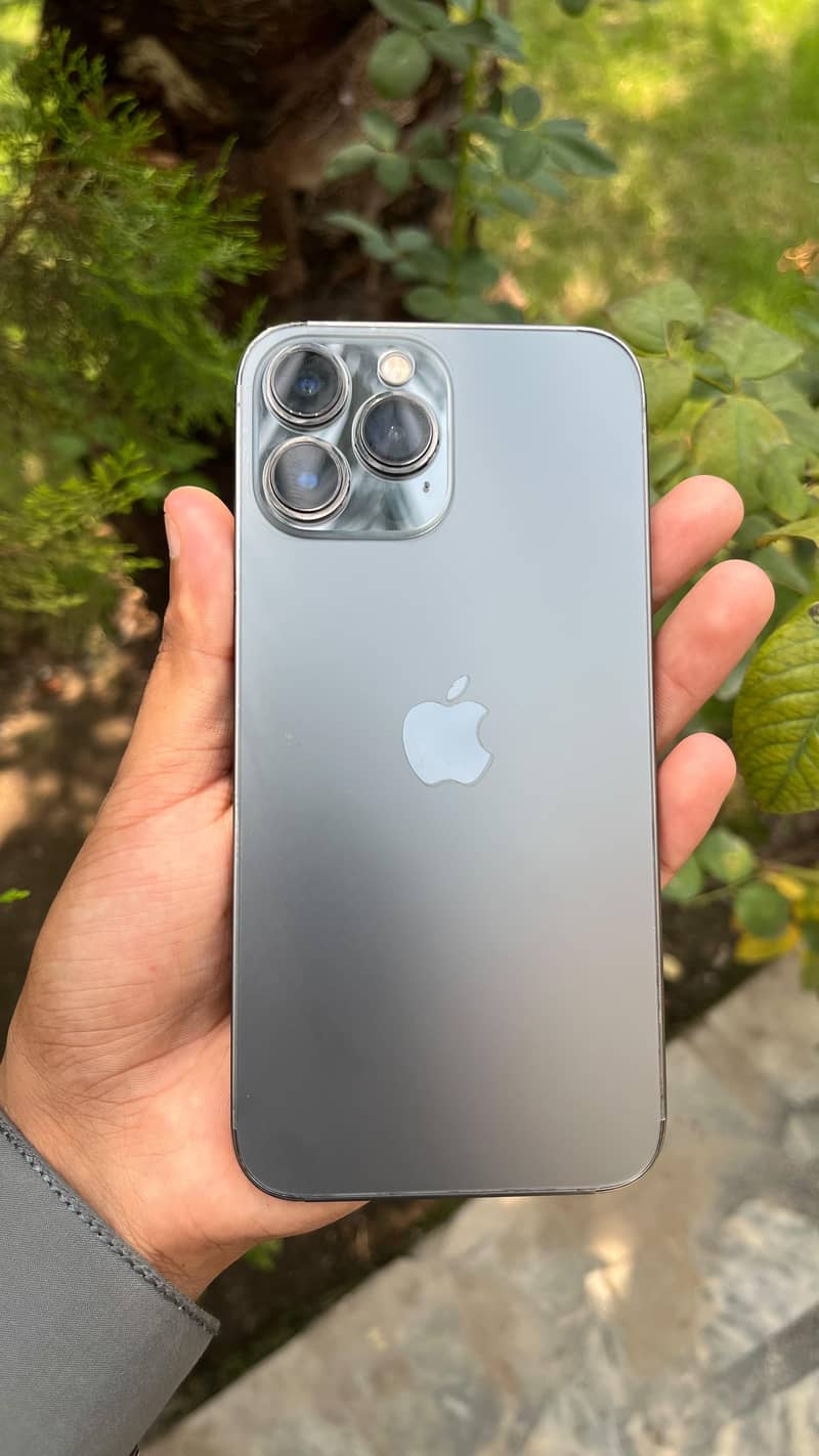 Apple iPhone 13 Pro Max 0