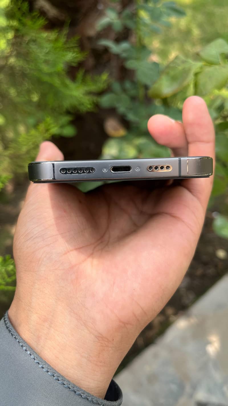 Apple iPhone 13 Pro Max 2