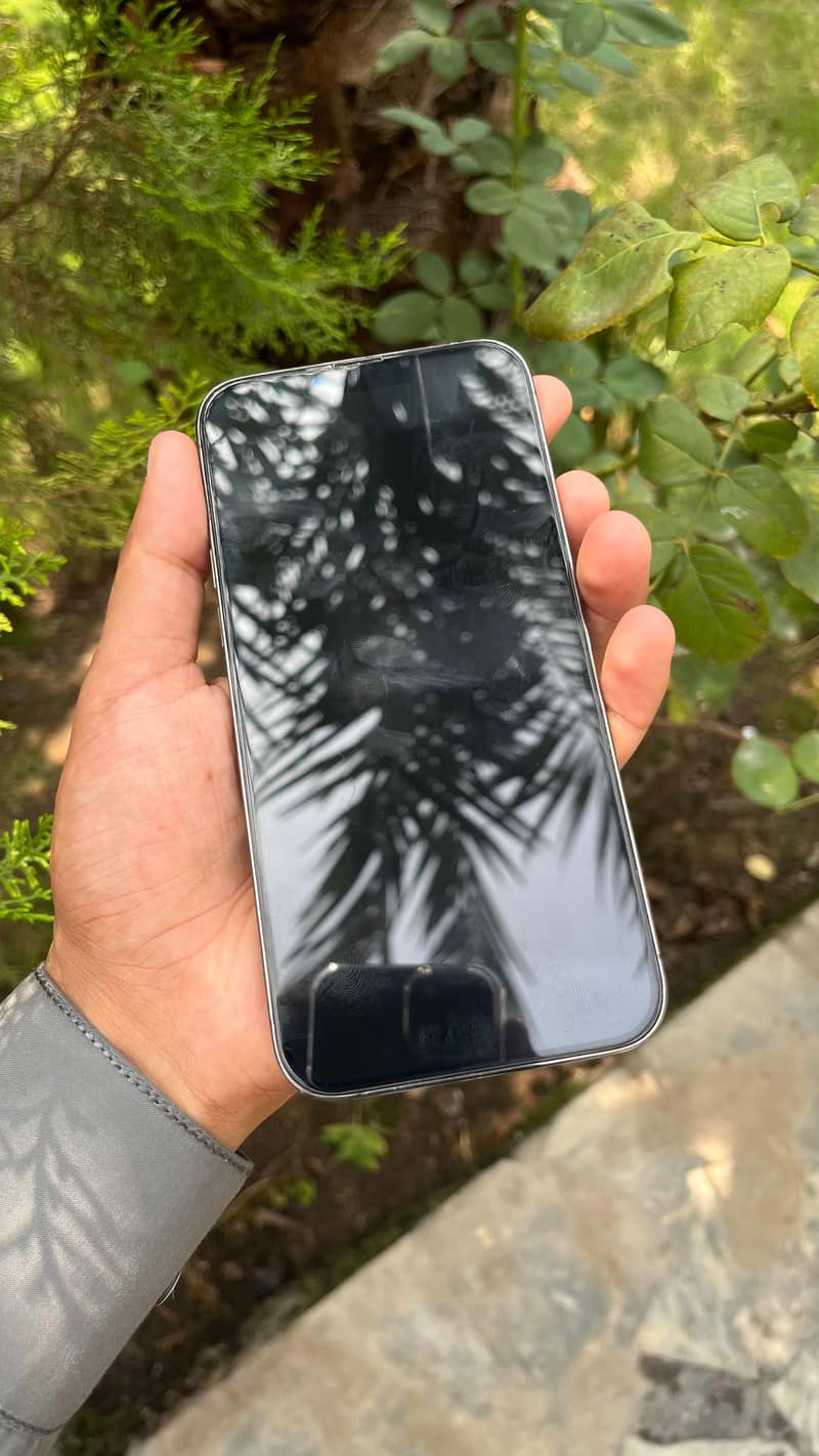 Apple iPhone 13 Pro Max 5