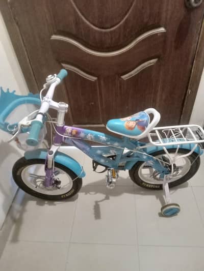 Frozen Bicycle brand new condition