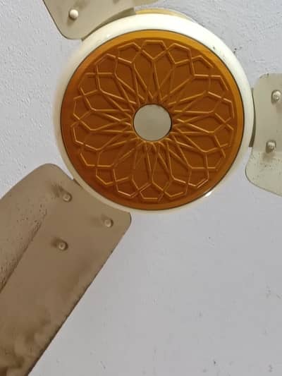 AC/DC ceiling Fans, With Warranty, Remote Control