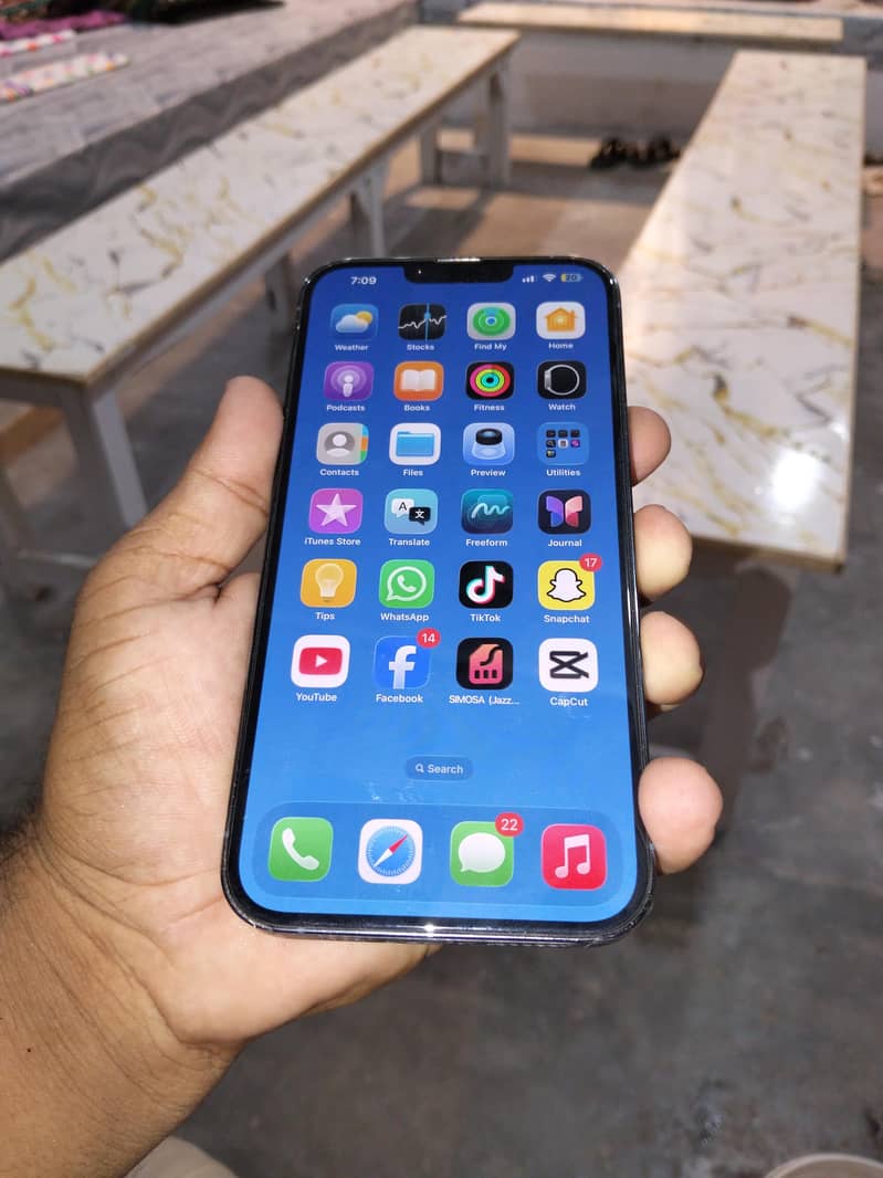 Apple iPhone 13 Pro Max 1