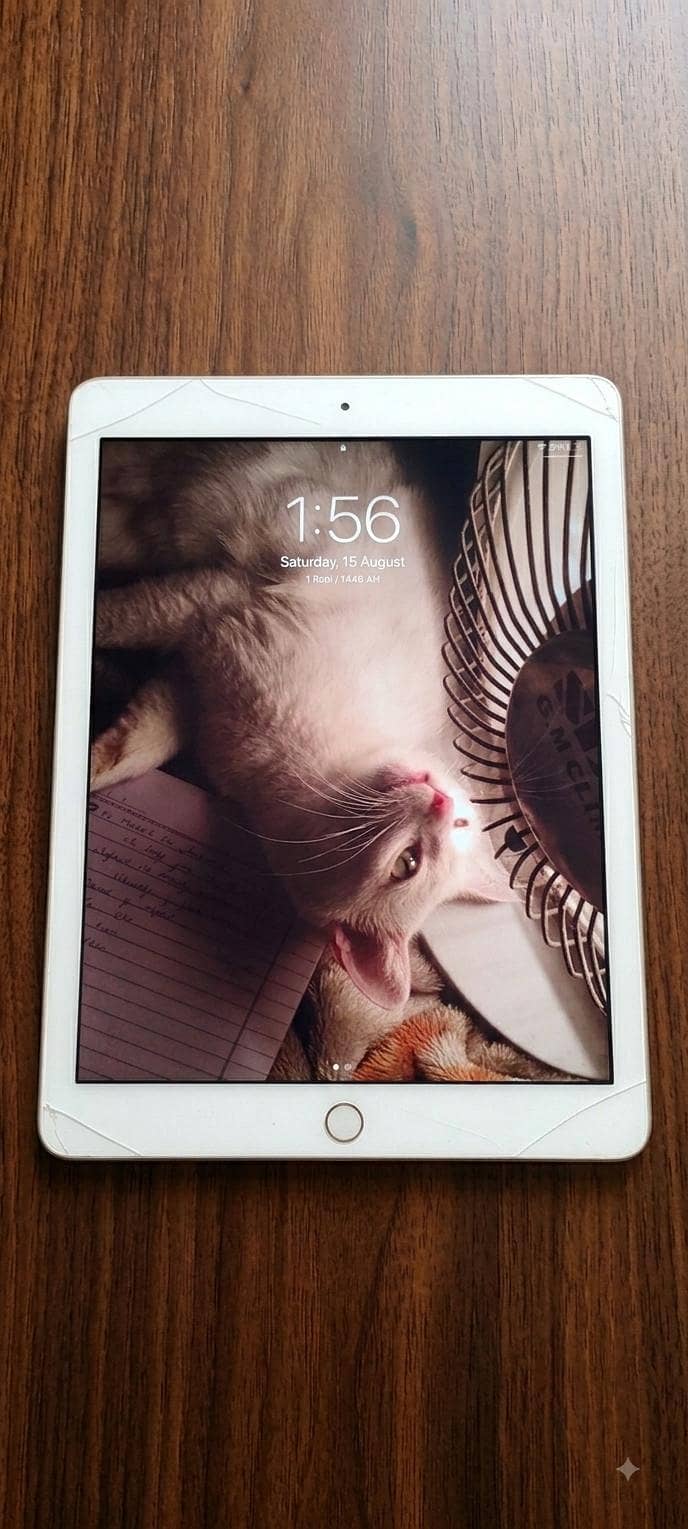 Ipad Air 2 0
