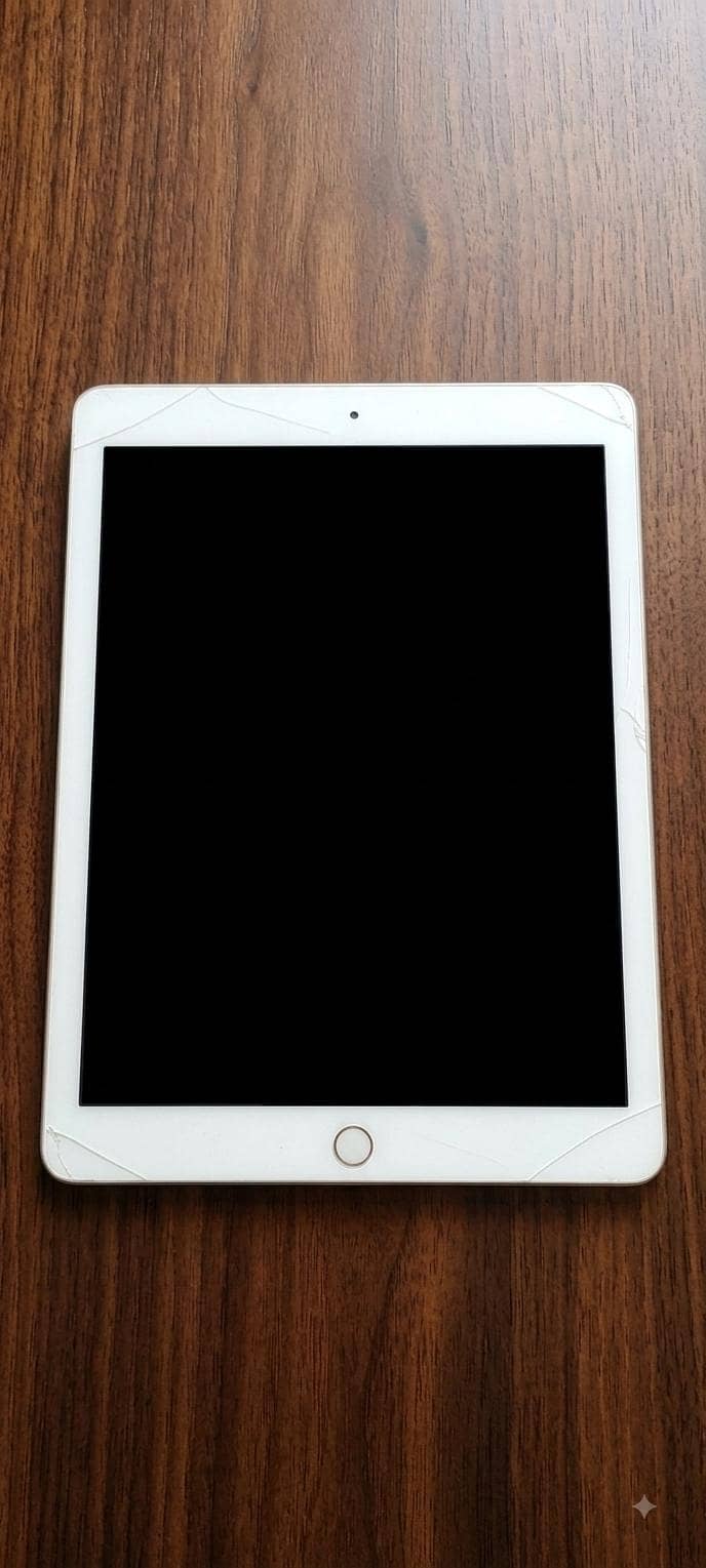 Ipad Air 2 2