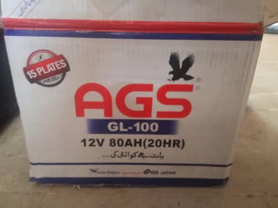 AGS 15 PLATES 80 AH
